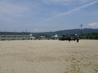 DSC05382