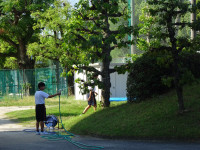 DSC06080