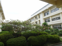 DSC06172