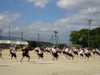 DSC06565