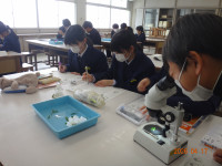 DSC05967⑤
