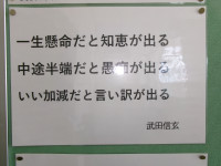 128_0564⑭