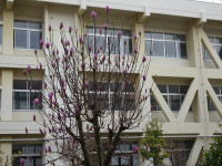 DSC08400
